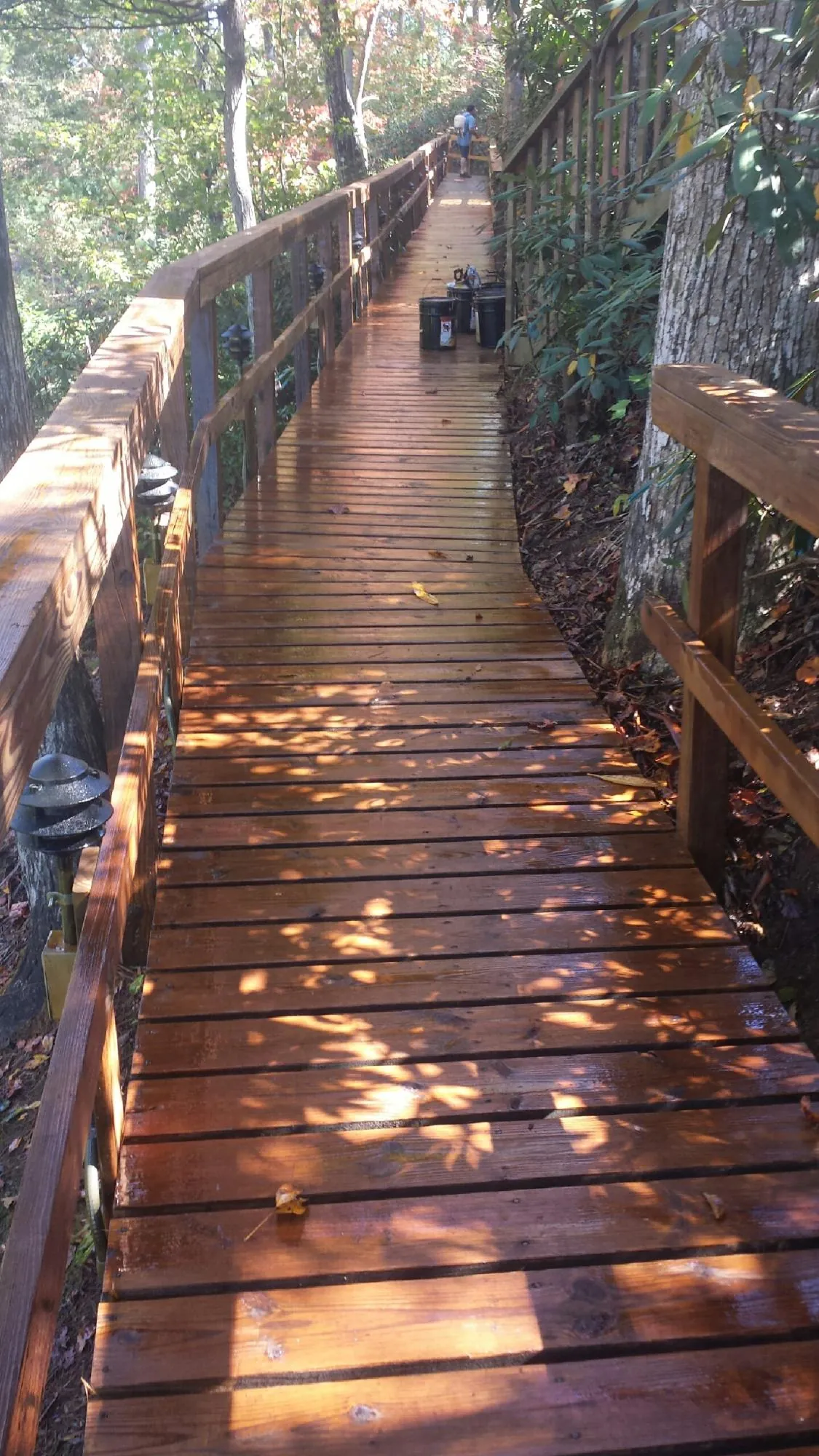 Freshly stained wood walkway winding through the woods in Crucible